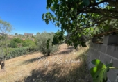 Chalet independiente con terreno en venta en la España, Barajas de Melo, ref: TR410258 foto