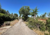 Chalet independiente con terreno en venta en la España, Barajas de Melo, ref: TR410258 foto