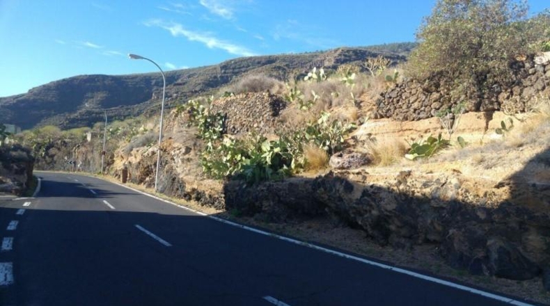 Santa Cruz de Tenerife - Candelaria - 1602m2