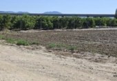 Non-developable land for sale on España, Orihuela, ref: TR410298 photo