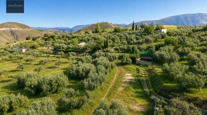 Granada - Monachil - 8000m2