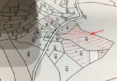 Non-developable land for sale on España, Estepona, ref: TR410276 photo