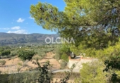 Detached villa with land for sale on España, Ibi, ref: TR165764 photo