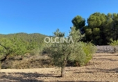 Detached villa with land for sale on España, Ibi, ref: TR165764 photo