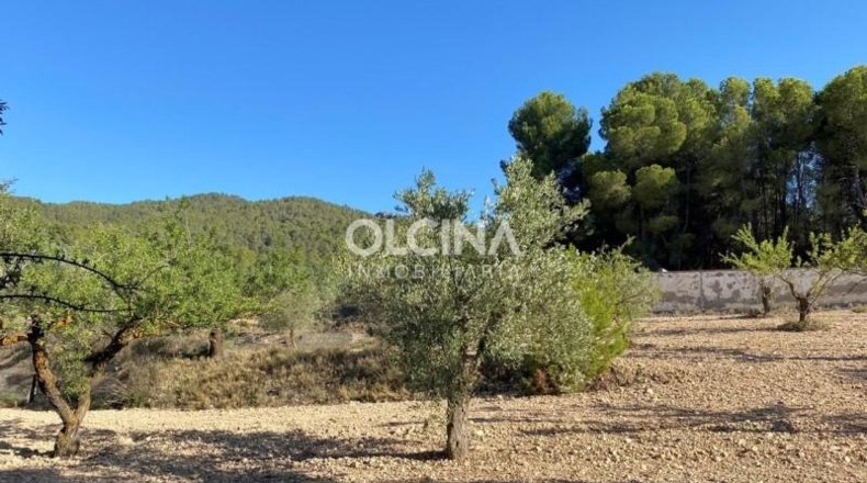Alicante - Ibi - 242m2