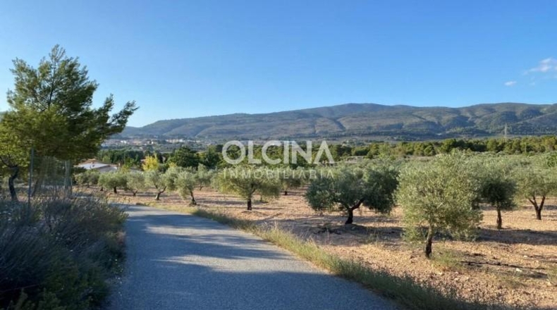 Alicante - Ibi - 242m2