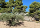 Detached villa with land for sale on España, Ibi, ref: TR165764 photo