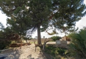 Casa de camp amb terreny en venda a la España, Matola, ref.: TR409703 foto