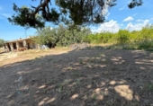 Casa de camp amb terreny en venda a la España, Matola, ref.: TR409703 foto