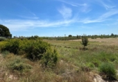 Casa de camp amb terreny en venda a la España, Matola, ref.: TR409703 foto