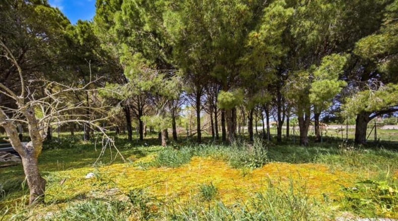 Cadiz - Chiclana de la Frontera - 6483m2