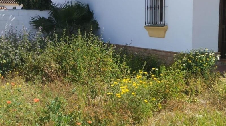 Cadiz - Chiclana de la Frontera - 350m2