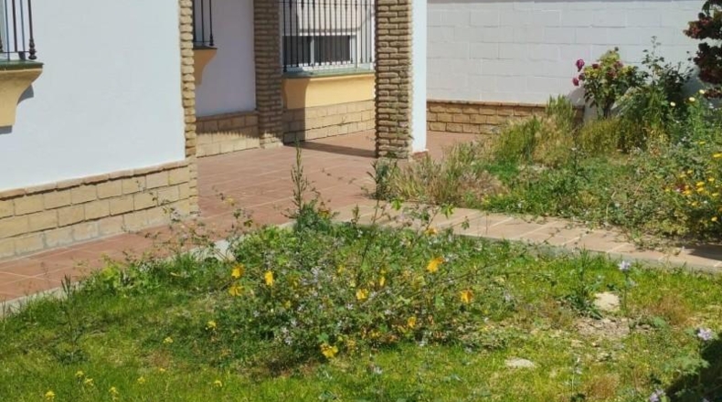 Cadiz - Chiclana de la Frontera - 350m2