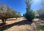 Country house with land for sale on España, Cartagena, ref: TR406004 photo