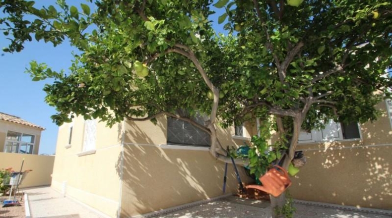 Alicante - Torrevieja - 300m2