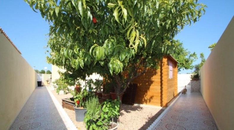 Alicante - Torrevieja - 300m2