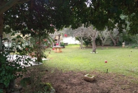 Chiclana de la Frontera 700&nbsp;m²