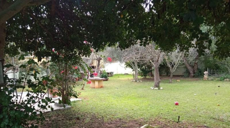 Cadiz - Chiclana de la Frontera - 700m2