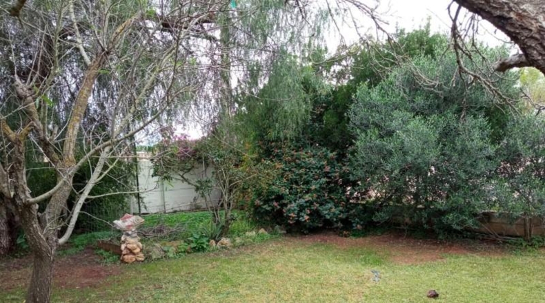 Cadiz - Chiclana de la Frontera - 700m2