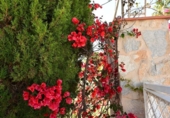 Village house for sale on España, Cartagena, ref: TR410321 photo