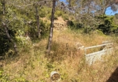 Дом с участком на продажу в городе Canyelles Фото