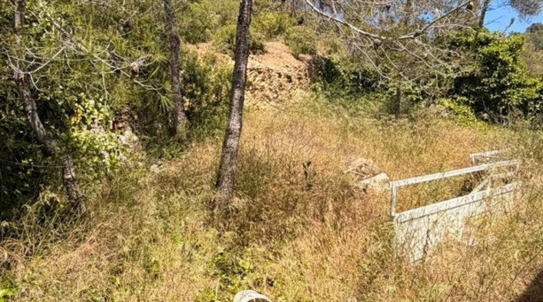 Barcelona - Canyelles - 493m2