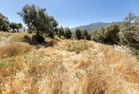 Güéjar Sierra 6634&nbsp;м²