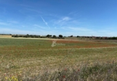 Non-developable land for sale on España, Humanes de Madrid, ref: TR410345 photo