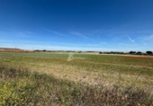 Non-developable land for sale on España, Humanes de Madrid, ref: TR410345 photo