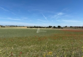 Non-developable land for sale on España, Humanes de Madrid, ref: TR410345 photo