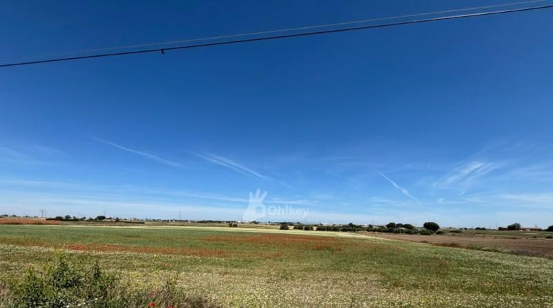 Community of Madrid - Humanes de Madrid - 11500m2