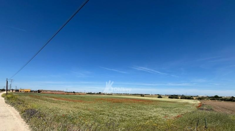 Community of Madrid - Humanes de Madrid - 11500m2