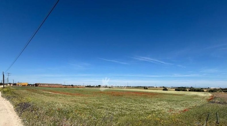 Community of Madrid - Humanes de Madrid - 11500m2