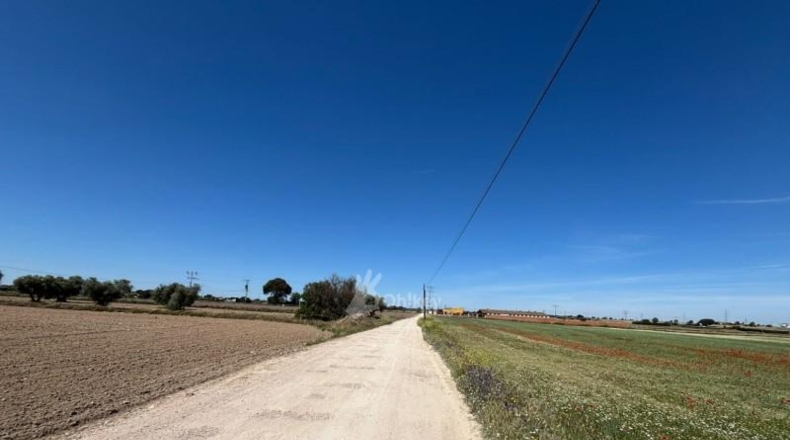 Community of Madrid - Humanes de Madrid - 11500m2