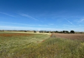Non-developable land for sale on España, Humanes de Madrid, ref: TR410345 photo