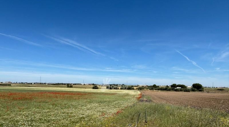 Community of Madrid - Humanes de Madrid - 11500m2