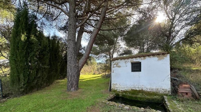 Кордова - Villaviciosa de Córdoba - 100000m2