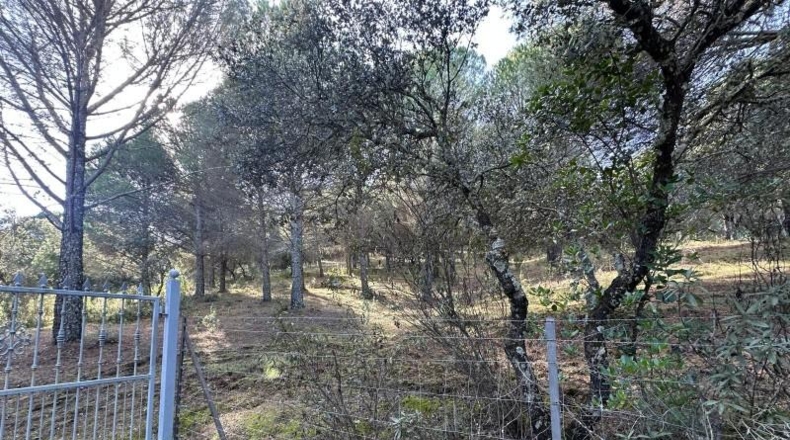 Кордова - Villaviciosa de Córdoba - 100000m2