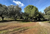 Finca rústica en venda a la España, Villaviciosa de Córdoba, ref.: TR410344 foto