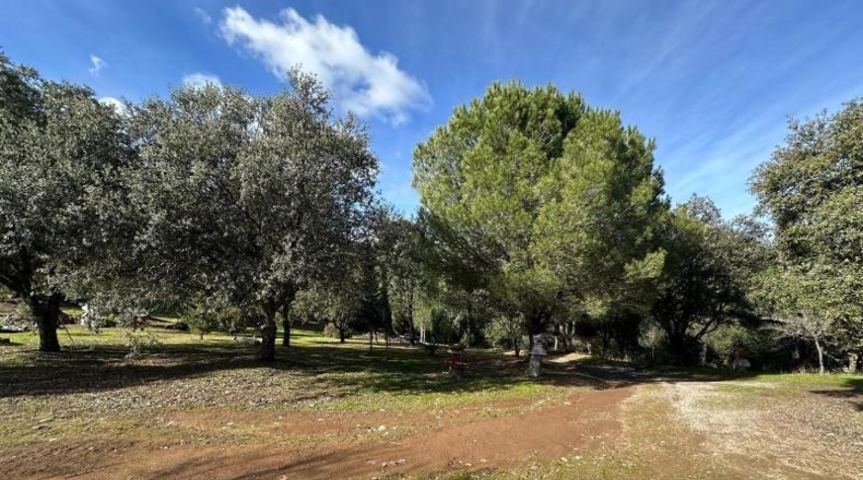 Кордова - Villaviciosa de Córdoba - 100000m2