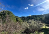 Finca rústica en venda a la España, Villaviciosa de Córdoba, ref.: TR410344 foto