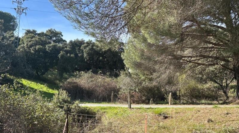 Кордова - Villaviciosa de Córdoba - 100000m2