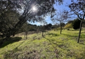Finca rústica en venda a la España, Villaviciosa de Córdoba, ref.: TR410344 foto