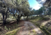 Finca rústica en venda a la España, Villaviciosa de Córdoba, ref.: TR410344 foto