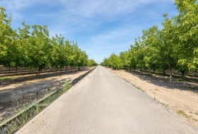 Pinos Puente 30000&nbsp;м²