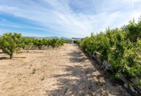 Pinos Puente 30000&nbsp;м²