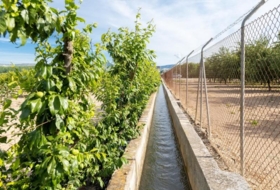 Pinos Puente 30000&nbsp;м²