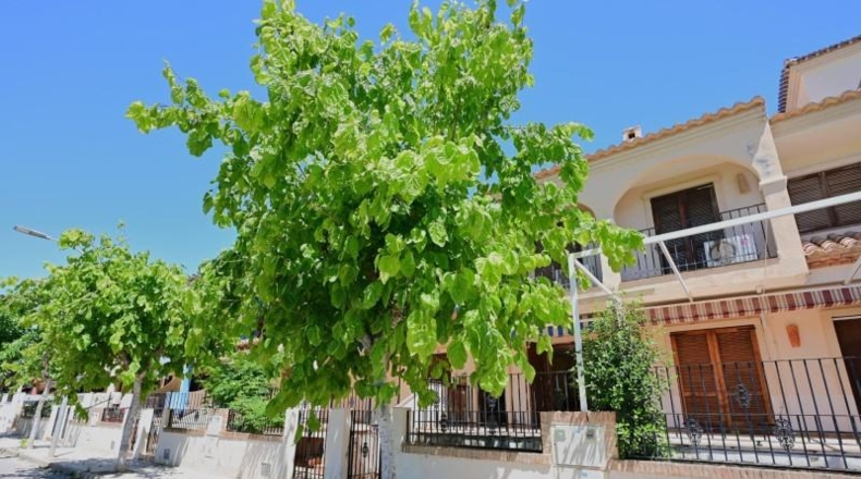 Múrcia - Los Alcázares - 172m2