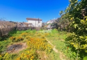 Detached villa with land for sale on España, Calafell, ref: TR410394 photo