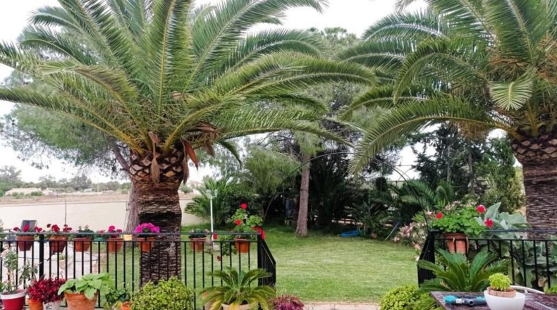 Alicante - Torrellano - 3500m2